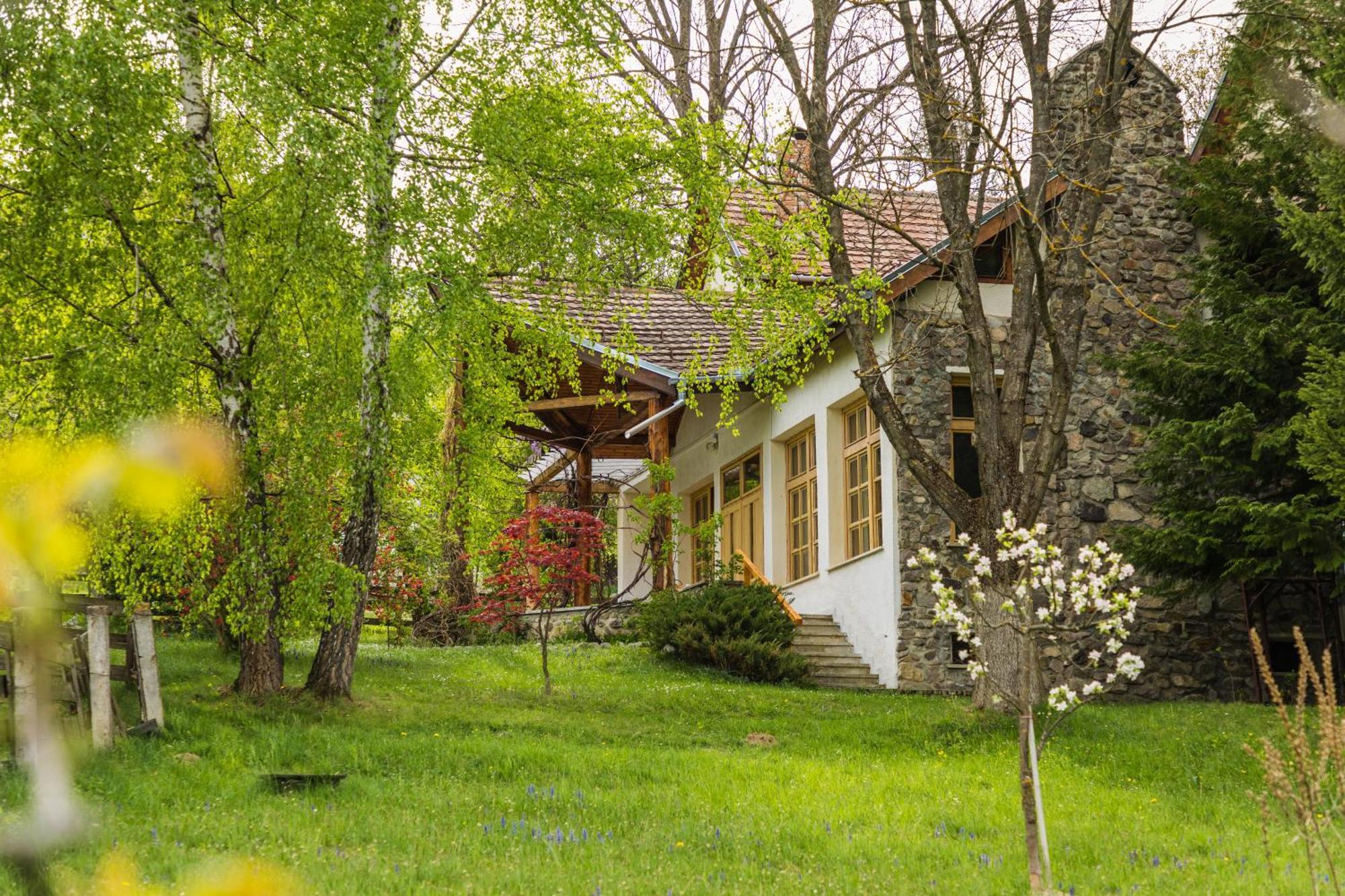 Villa Alba By Akasha Retreat Bran  Bagian luar foto